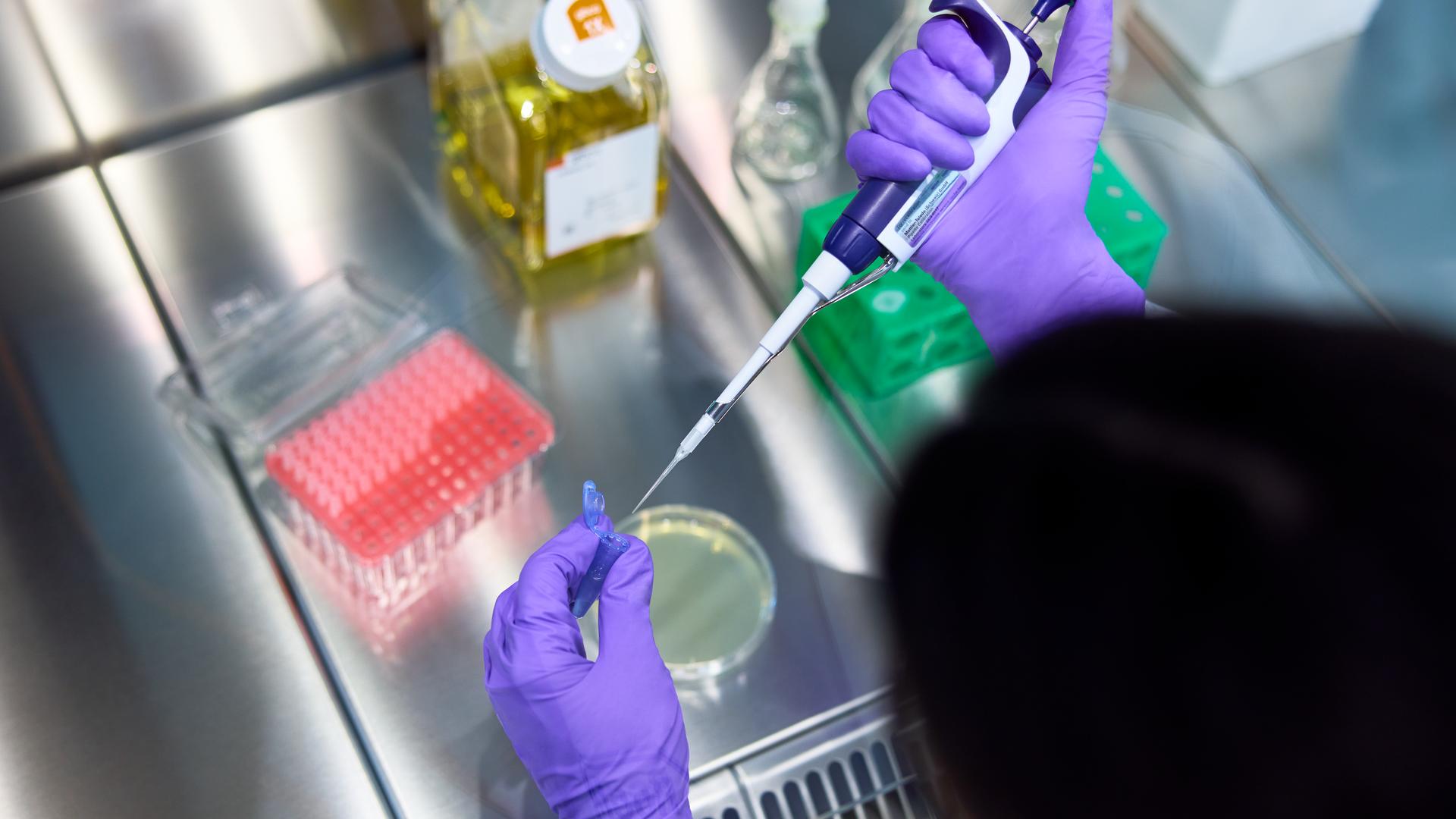 A person wearing purple gloves holds a tube, demonstrating a careful and precise handling of the object.